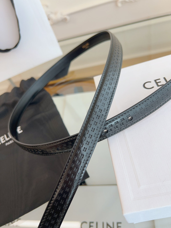 CELIN* BELT-GOLD/SILVER